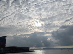 -招商蛇口邮轮母港(观光客运)