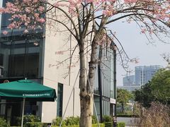 -星巴克(深圳前海企业公馆店)