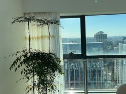 -HEYAN荷妍专业脱毛连锁机构