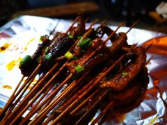 鳝鱼-晓靖轩烧烤(沙河风情店)