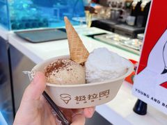 -极拉图·现制冰淇淋(大卫城店)