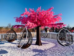 -绿野森林乐园冰雪季