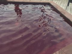 -天目湖涵田半山温泉