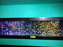 -成都浩海立方海洋公园