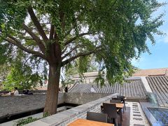 -自如ZSPACE四合院艺术餐厅