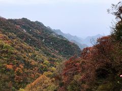 -少华山国家森林公园