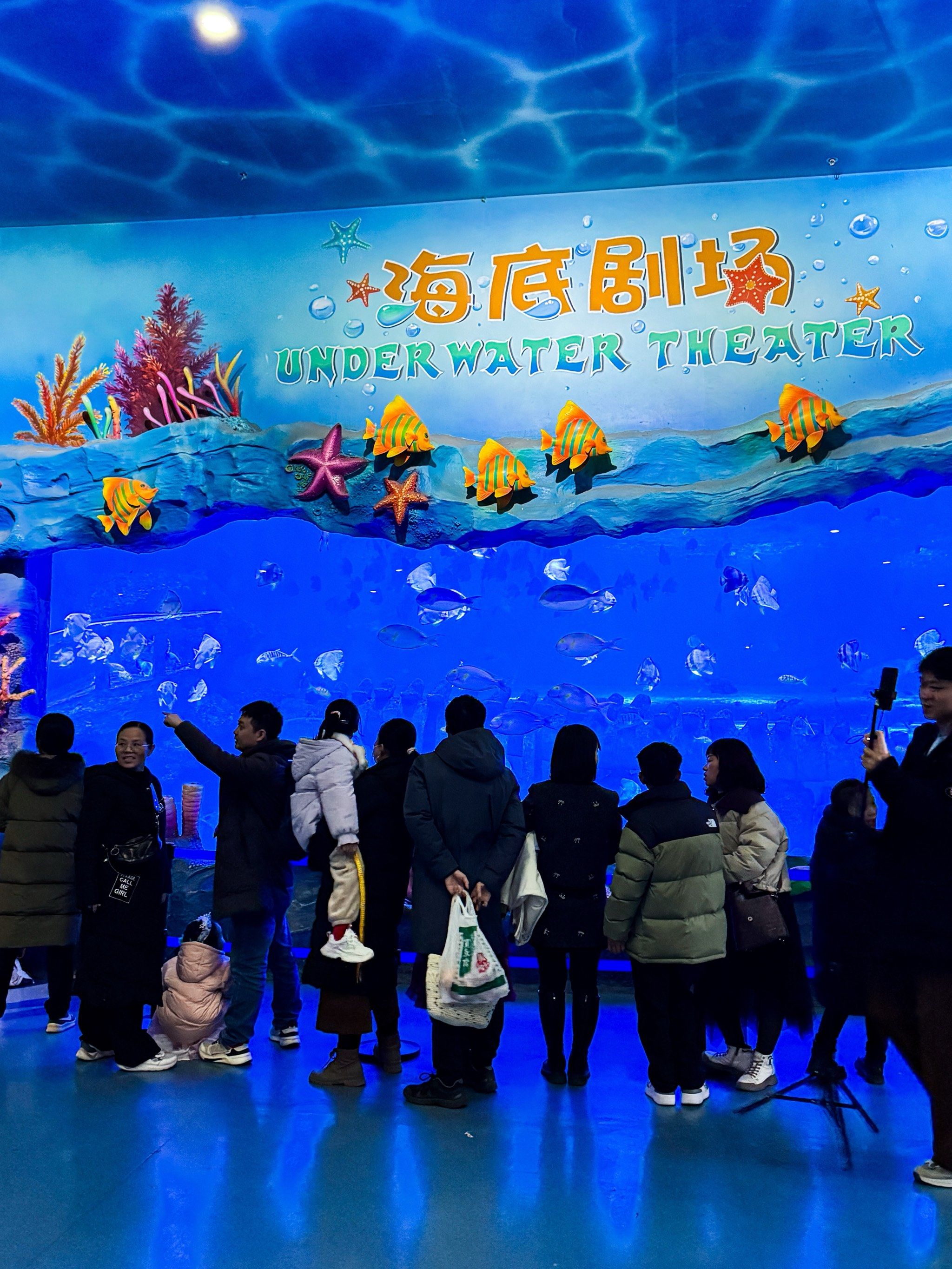 过年遛娃就来曲江海洋极地公园