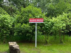 -狼山风景名胜区