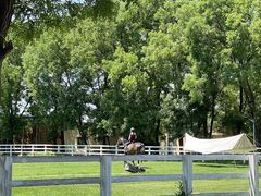 -北京群众马术培训基地