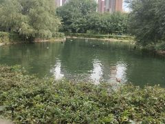 -长白岛森林公园