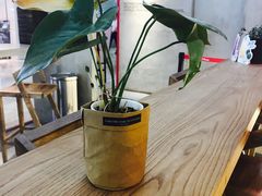 -1828王老吉·草本新茶(珠江新城地铁站店)