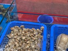 -蟹老板的海鲜