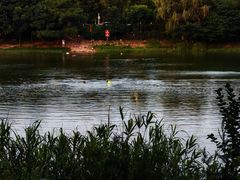 -羊山湖公园