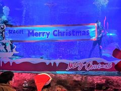 -沈阳海洋探索中心