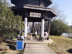 -渤公岛生态公园