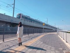 -海堤纪念公园