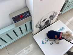 -北京观赏动物医院·24小时大型综合·猫专科·异宠专科