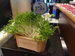 -阳坊胜利涮羊肉(阳坊老店)