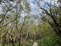 -白草畔自然风景区