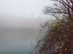 -紫霞湖公园