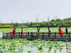 -天津东丽湖风景区