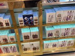 -升恒昌免税商店(台北松山机场店)