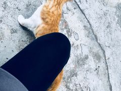 -251#coffee roasters(沿河东路店)