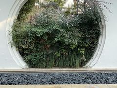 -苏州湾·王焰温泉