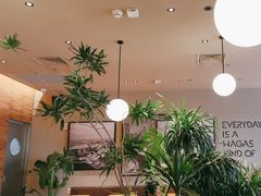 -Wagas沃歌斯(信泰中心商场店)