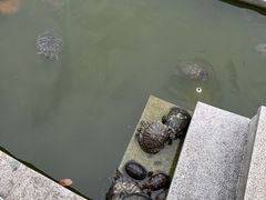 -顺峰山公园