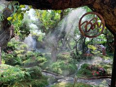 -Chom Cafe and Restaurant