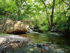 -云岫谷游猎自然风景区