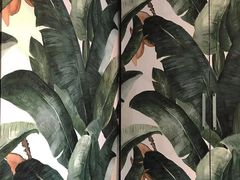 -So Acai(天河店)