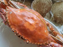 -港畔赶海蒸汽海鲜烧烤自助(仙螺岛店)