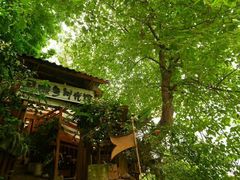 -懒鱼时光馆(沙坪坝店)