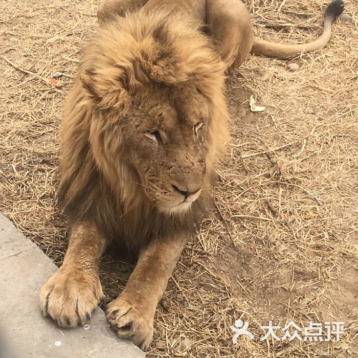 北京野生动物园