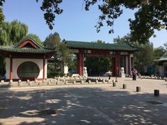 -百脉泉景区
