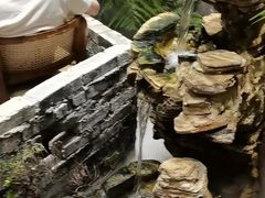 -茶理宜世(京溪店)
