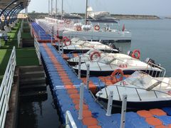 -秦皇岛乐岛海洋王国