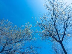 -日照世帆赛基地