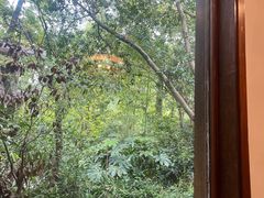 -山外山·林语花园餐厅