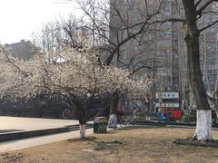 -江墅铁路遗址公园