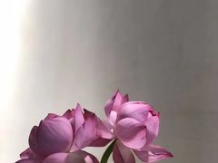 -上海观复博物馆