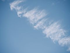 -洋湖国家湿地公园