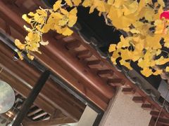 -小京华楼·京味斋(三元桥国展店)