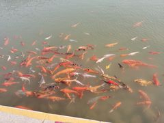 -太湖湾开元名庭大酒店