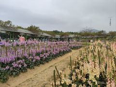 -盈香心动乐园