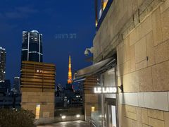 -六本木新城展望台(东京城市景观)