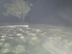 -鱼凫国都大酒店温泉