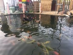 -湖鲜楼